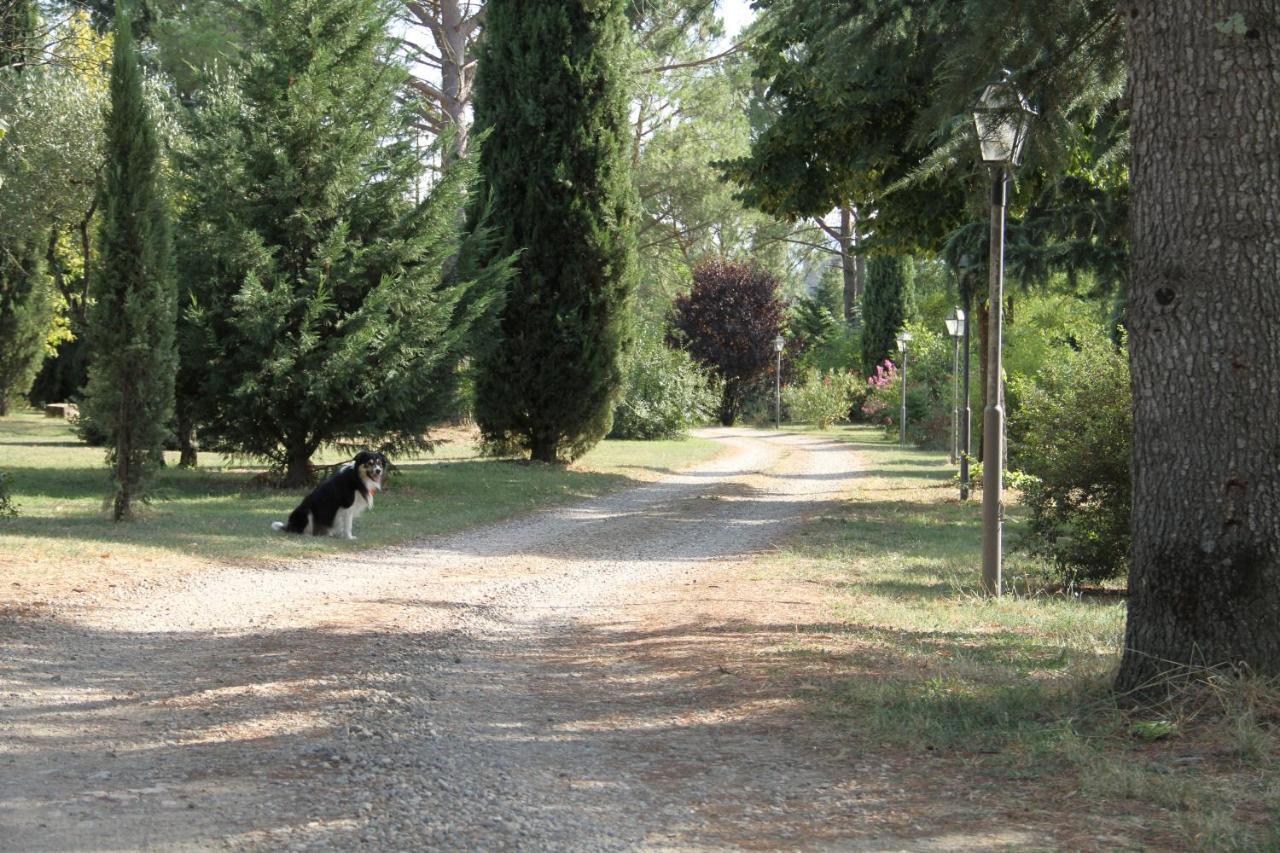 Villa Rigacci Reggello Extérieur photo